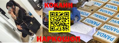 СК Новодвинск