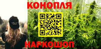 соль ск Новозыбков