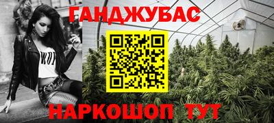 СК Новодвинск