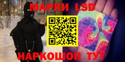 СК Новодвинск