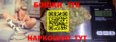 СК Новодвинск