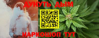 СК Новодвинск