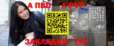 СК Новодвинск