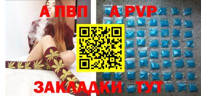 СК Новодвинск