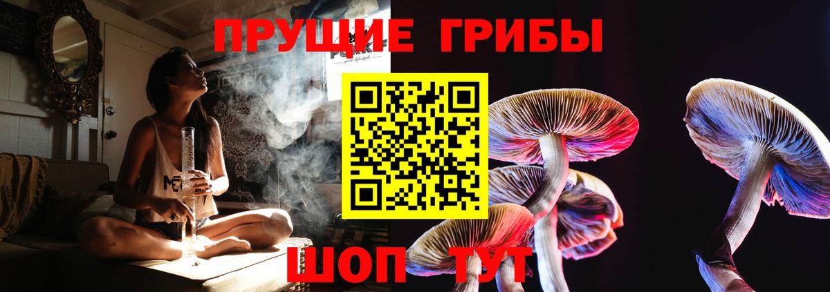 Родники  Псилоцибиновые грибы GOLDEN TEACHER  Вход с VPN 