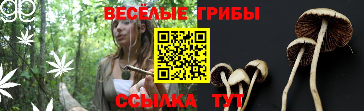 Псилоцибиновые грибы MAGIC MUSHROOMS Родники